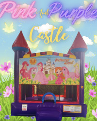 17.8 Pink and Purple Castle